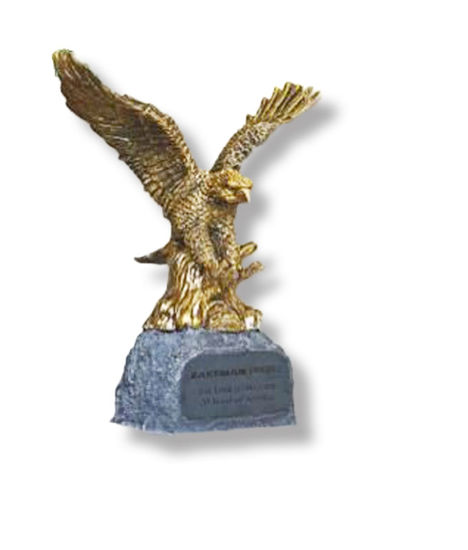 Picture of Metallic Eagle and Stone Award