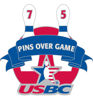 Picture of USBC Lapel Pins